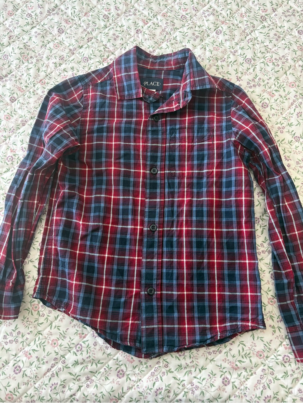 The Children's Place Red & Blue Plaid Button-Down Shirt